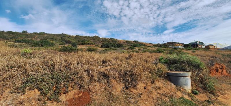 Commercial Property for Sale in Voorbaai Western Cape
